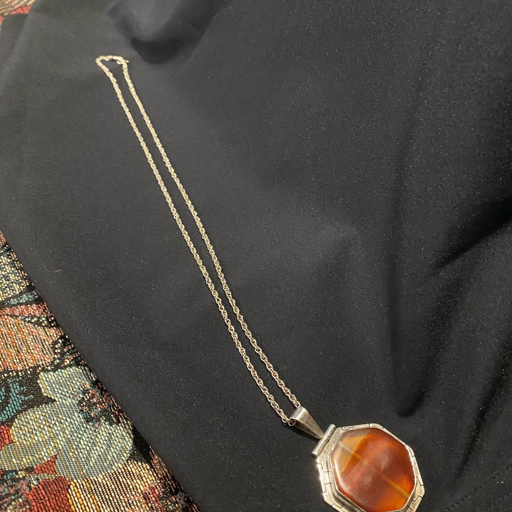 Rare Fossilized Amber Sterling Pendant with 20” Sterling Chain - Unique - Picture 5 of 10